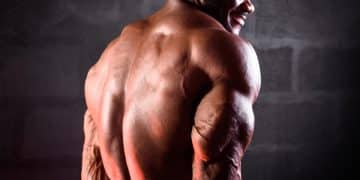 Back and Triceps Workouts