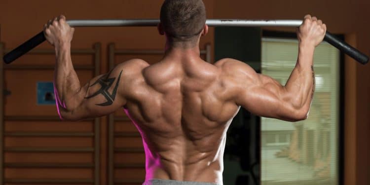 Back Superset Workout