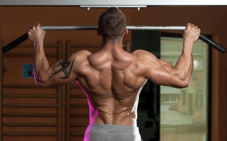 Back Superset Workout