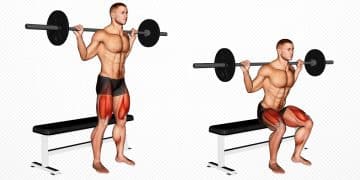 Bench Squat Guide