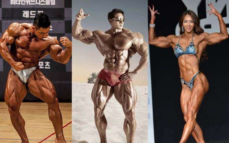 Top Korean Bodybuilders