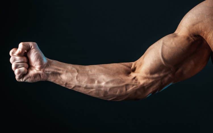 Forearms At Home Workout