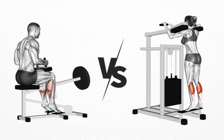 Seated Vs. Standing Calf Raise